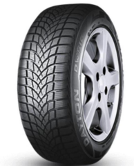 205/50R17 93V XL DW510E M+S / SFM DAYTON